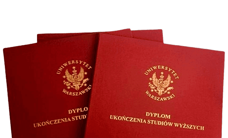 International student environment